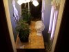 100_0049.jpg
