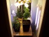 100_0050.jpg