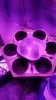 20171108_092451.jpg