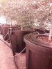 20171109_060937.jpg