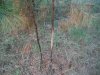 DSCF6009.JPG