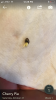 CEFDAB08-A82F-4FF9-BF9E-CF671FF1FD53.png