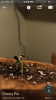 51865E90-60CA-4019-9E3B-90D1061AC54B.png