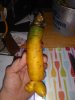 20171112_165629.jpg