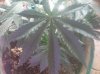 20171113_173145.jpg