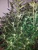 20171114_081613.jpg