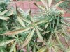 20171115_074502.jpg