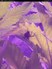 Screenshot_20171115-210610.png