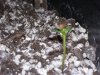 100_6417.JPG