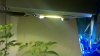 WP_20171117_13_53_43_Pro.jpg