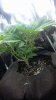 20171117_155927.jpg