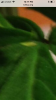 7E0DA794-B21B-4970-A4D6-7CDF19F071EA.png