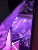 IMG_0460.JPG IMG_0460.JPG