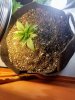 20171118_090836.jpg
