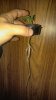 20171119_152521.jpg