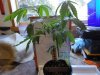 DSC00875.JPG