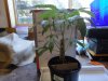 DSC00885.JPG