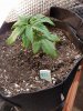 20171121_152418.jpg