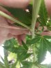 WP_20171121_017.jpg
