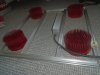 DSC04442.JPG