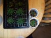 100_0061.jpg