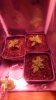 IMG-20171127-WA0000.jpeg