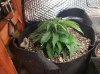 20171128_163450.jpg