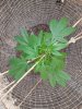 20171130_184146.jpg