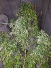 20171130_091935.jpg