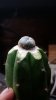 20171129_072212.jpg