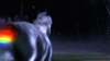 the-more-you-know-gif-tumblr-9.gif