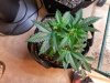 20171204_182447.jpg