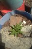 IMG-20171024-WA0003.jpg IMG-20171024-WA0003.jpg