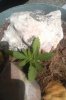 IMG-20171024-WA0002.jpg IMG-20171024-WA0002.jpg