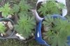 IMG-20171110-WA0007.jpg IMG-20171110-WA0007.jpg