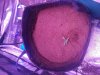 20171206_190323.jpg