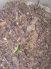 20171207_090749.jpg