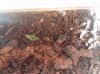 20171207_090716.jpg