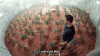 mars.gif.gif