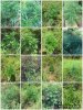 A062DA45-36F6-498A-8A55-719CF6F0EF00.jpeg