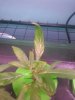 20171209_093544.jpg