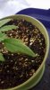 20171209_123545.jpg