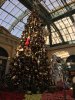 IMG_2560 - Copy - Copy - Copy.JPG