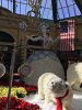 IMG_2564 - Copy - Copy - Copy.JPG