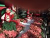 IMG_2571 - Copy - Copy.JPG
