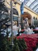 IMG_2574 - Copy - Copy.JPG