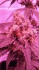20171209_142059.jpg