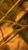 IMG_3746.PNG