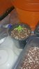 20171213_004800.jpg