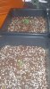 20171213_004756.jpg